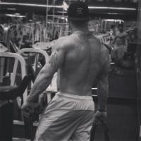 FlexSteel213