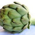 artichoke