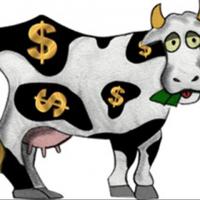 MrOctavius s cashcow