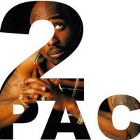 jsdbvwhefv