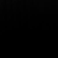 Bulliedfaggot