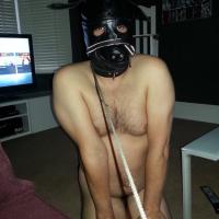 MsbDog