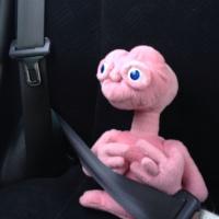 rimseatguy