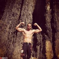 freehigh