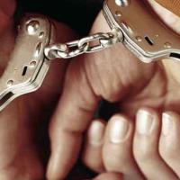 italianhumanshit