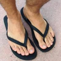 fiwi3760