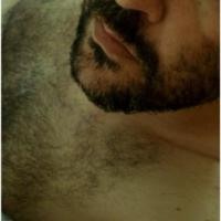 greekbearbtm