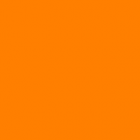 Homer New