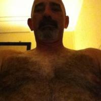 ahornybear4u