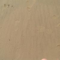 Slavemark