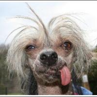 Tom
