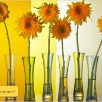 jon