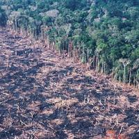 wowzaland
