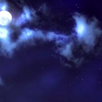 papersock