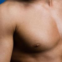 Lamb