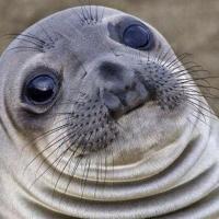BitchyBoy19