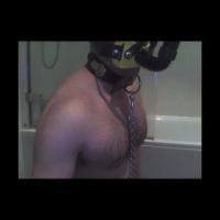 Pipo