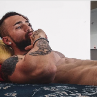 VikingFagDstroyer