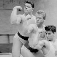 avvykavvy
