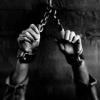 brazsubtwink