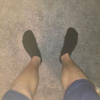 fagof2016