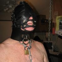 bondagebuddy2