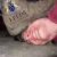 doormatFag