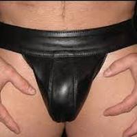 Sir Wolf