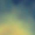 abcddj