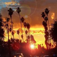 YNC helper