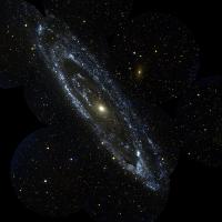 foot_lad_bottom