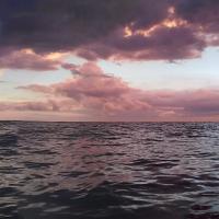 Vxxx