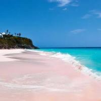 socks888