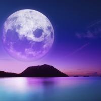 Spajohn