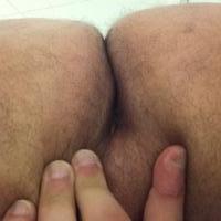 Pig Bear Fag