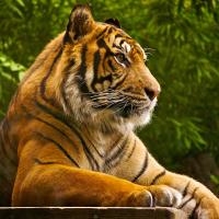 Sub98