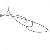 Socksniffer29
