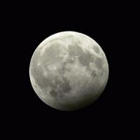 Brandon