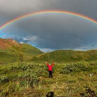 js1136672