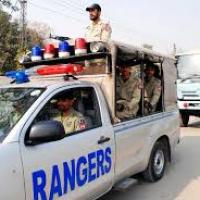 david81