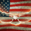 Live Meetings (USA)
