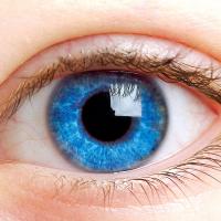 Kinkster1243