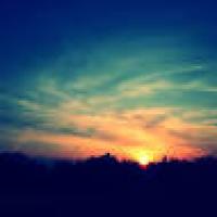 homoloser