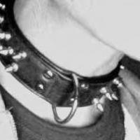 sub_fag
