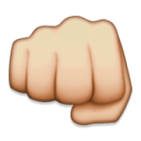 Fool