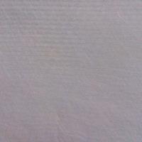 M.y
