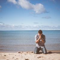 monkeytown