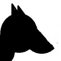 omarsanchez