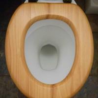 toiletatm