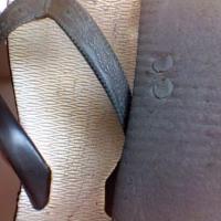 thongfaggot